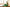4Way 畳ローファー ＜メンズ・ブラック＞