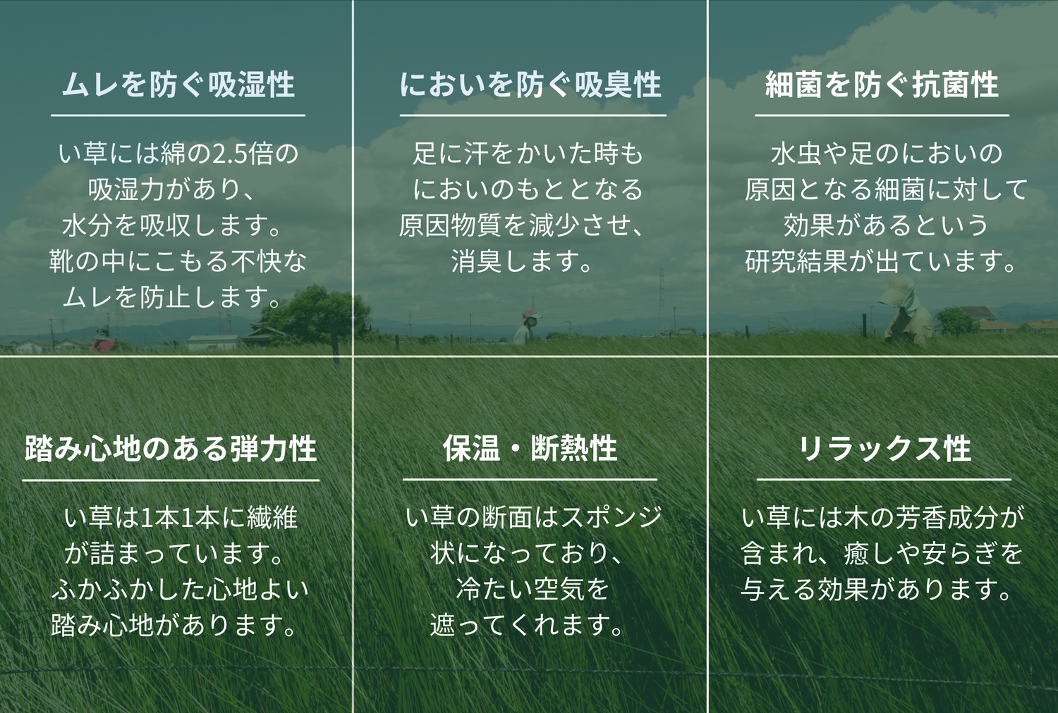 い草の効果（吸湿・消臭・抗菌・保温）- Liberato