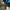 畳 -TATAMI-