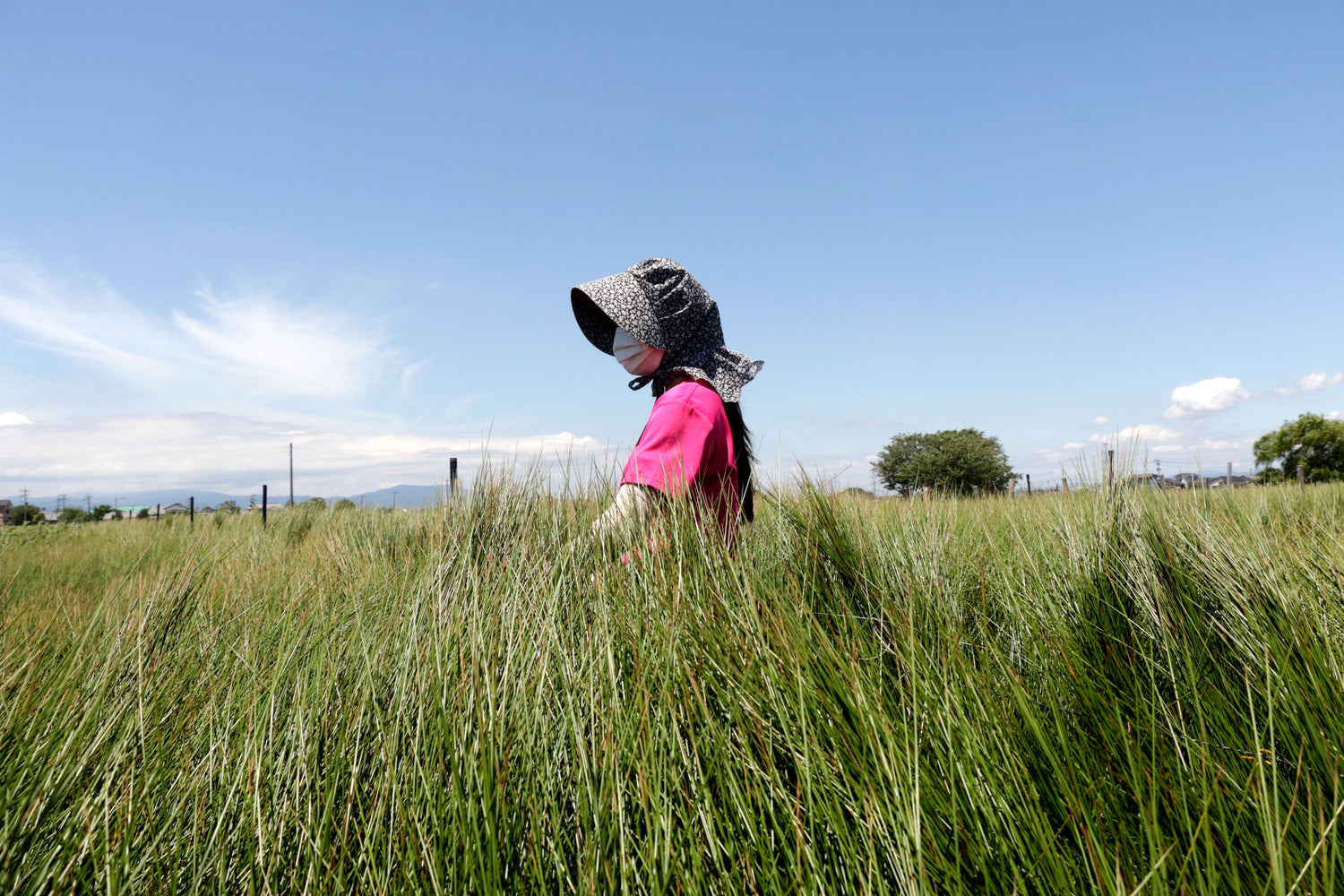 畳グリーンティー