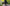 畳と本革のローファーで秋の庭を歩く女性｜Liberato 2026 Autumn/Winter